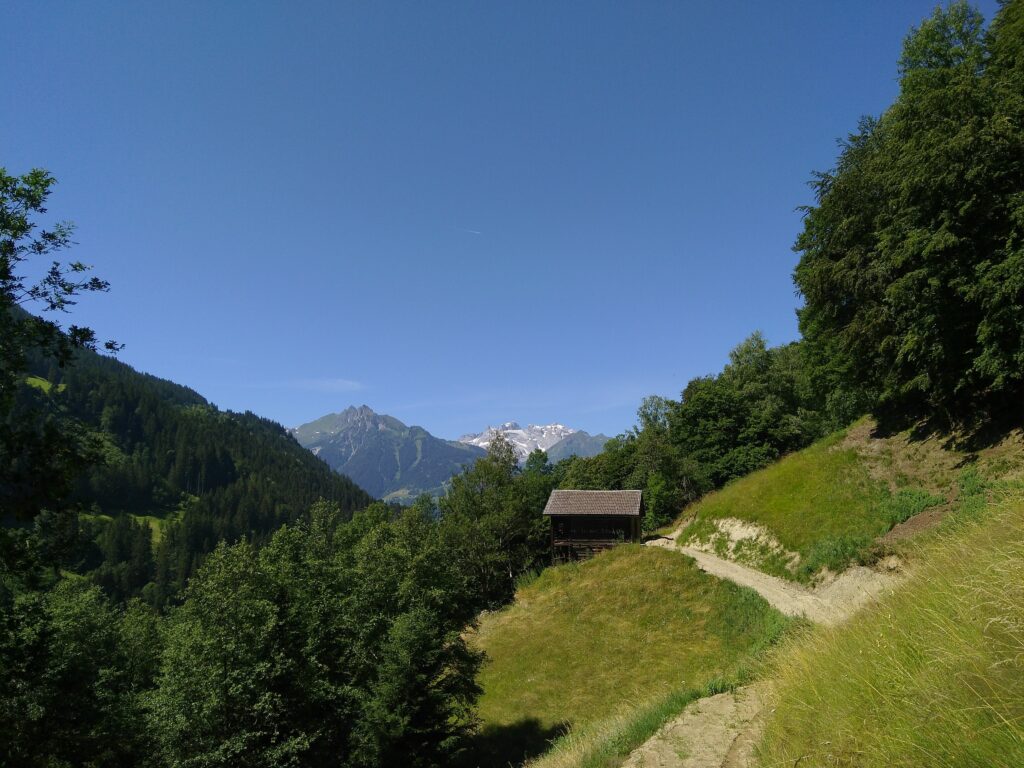 ohne Bewilligung errichteter Weg auf Magerwiesenflächen